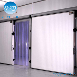 Cold Room Sliding Door