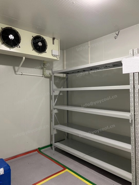 Kenya Medicine Cold Storage Room