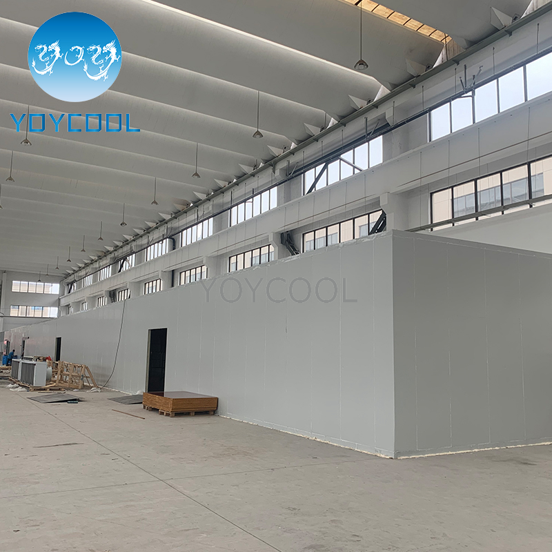 Refrigeration Equipment Cold Storage Room for Fish And Fruit 
